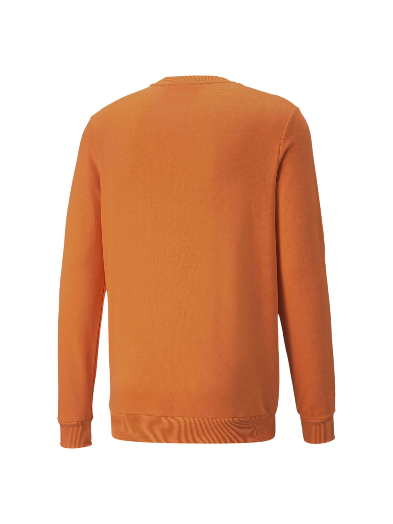 Худі та світшоти PUMA Fcsd Ftblcore Crew Sweat модель 767258 Худі та світшоти PUMA Fcsd Ftblcore Crew Sweat модель 767258 Фото
