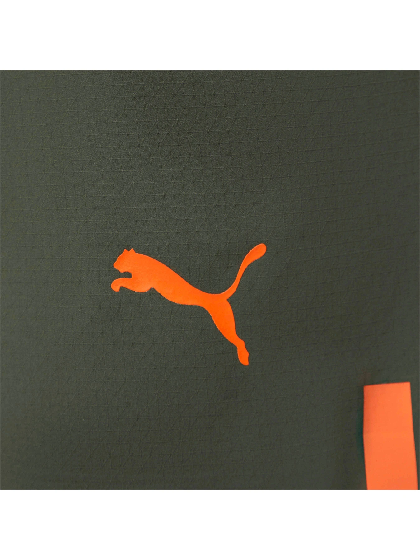 Шорты PUMA Fcsd Shorts Promo W модель 765638 Фото
