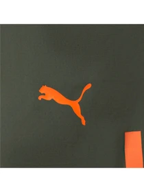 Шорты PUMA Fcsd Shorts Promo W модель 765638 Фото