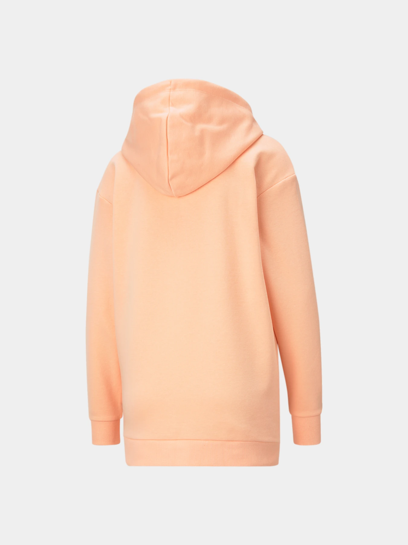 Худи и свитшоты PUMA Ess Elongated Logo Hoodie модель 586873 Фото