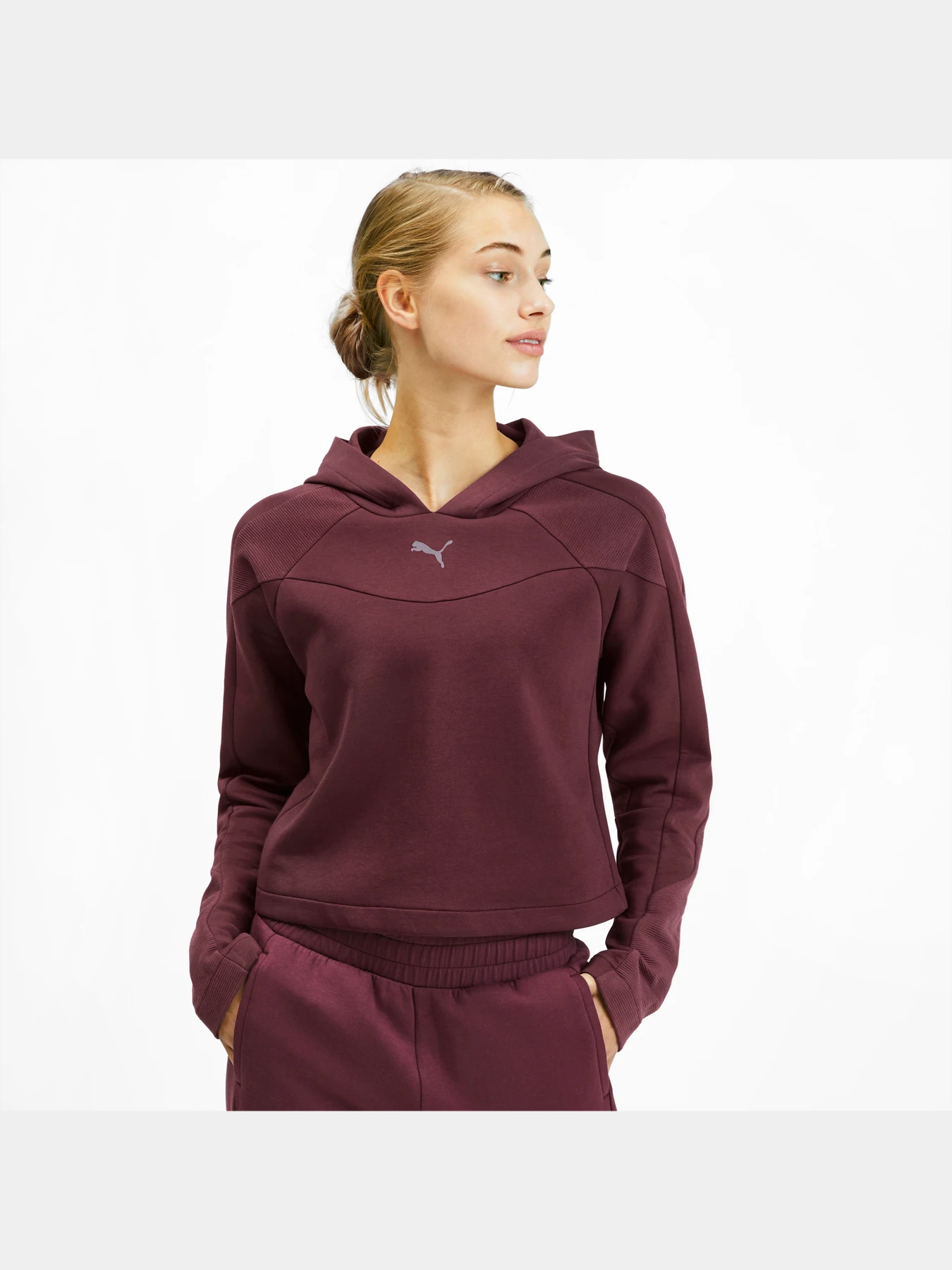 Худи и свитшоты PUMA Evostripe Hoody модель 580059 Фото