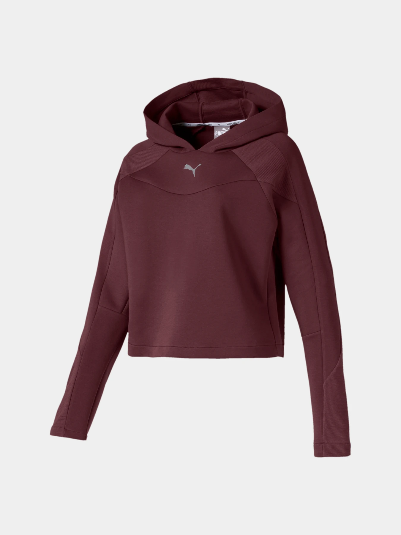 Худи и свитшоты PUMA Evostripe Hoody модель 580059 Фото