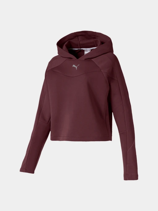Худи и свитшоты PUMA Evostripe Hoody модель 580059 Фото