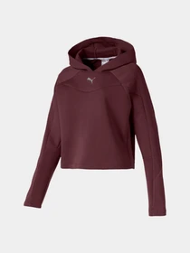 Худи и свитшоты PUMA Evostripe Hoody модель 580059 Фото