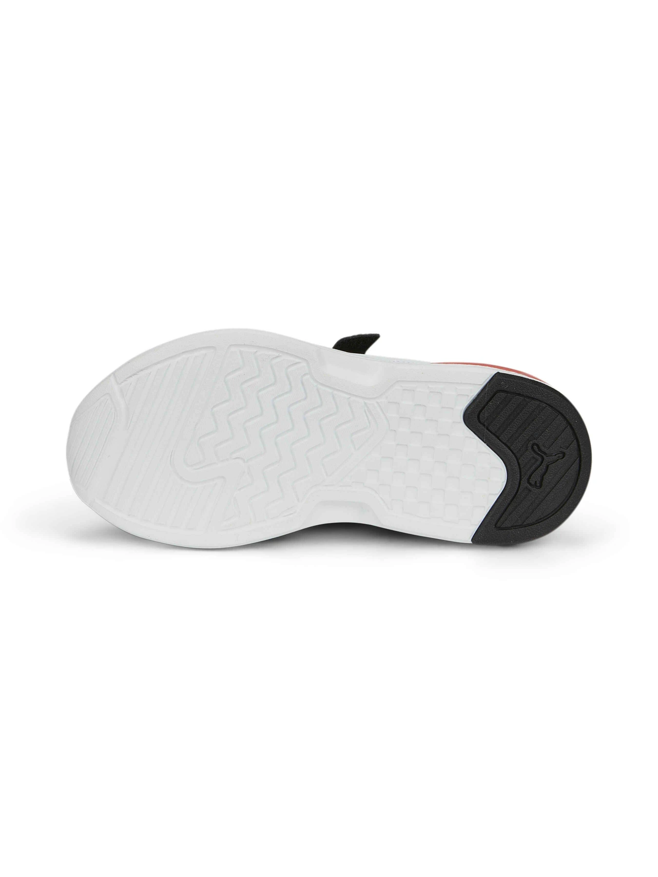 Кроссовки PUMA X-ray Speed Lite Ac+ Ps модель 385525 Кроссовки PUMA X-ray Speed Lite Ac+ Ps модель 385525 Фото