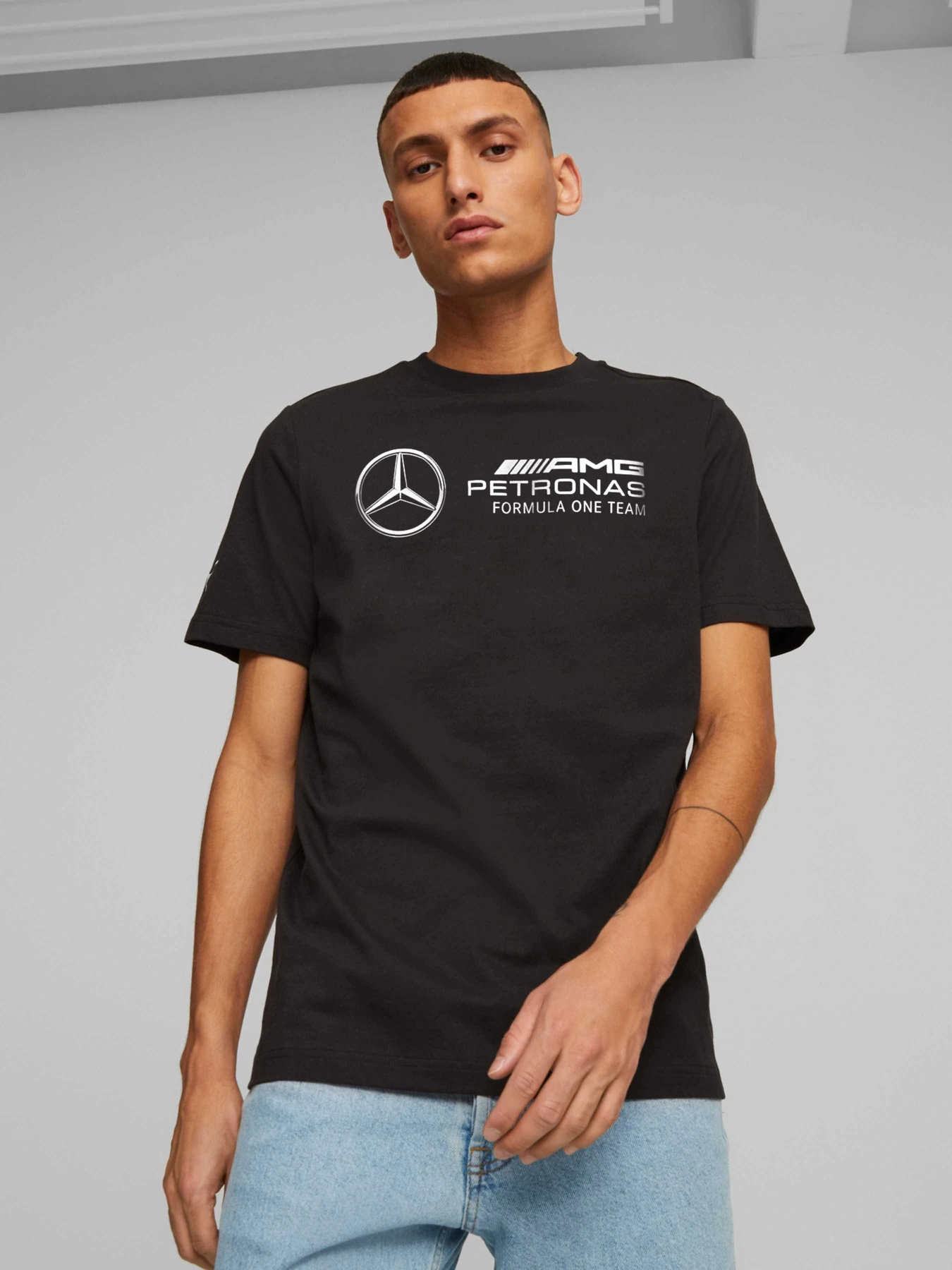 Футболки и поло PUMA Mapf1 Logo Tee модель 621157 Фото