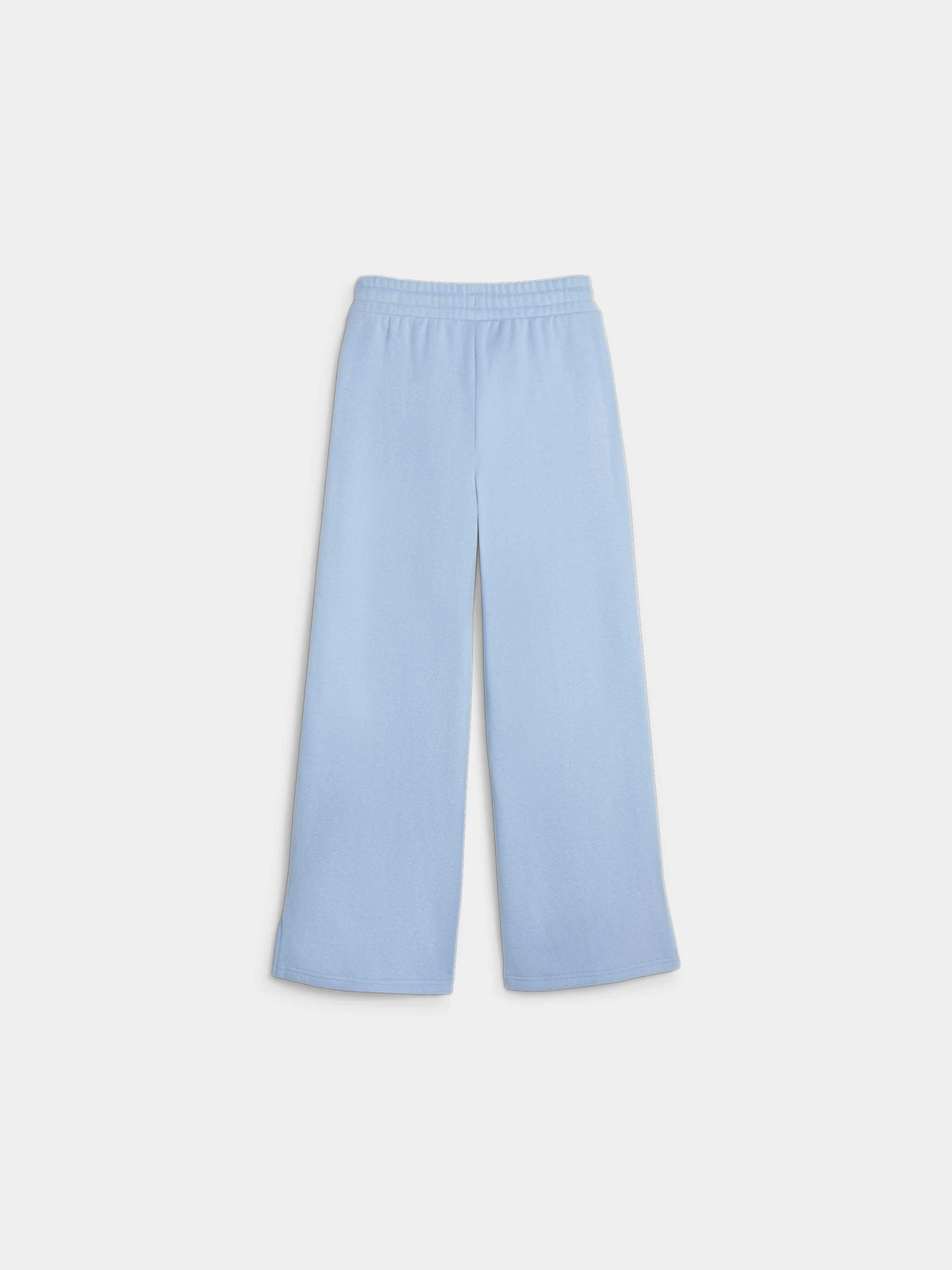 Брюки PUMA Sweater Wthr Sweatpants модель 621616 Фото