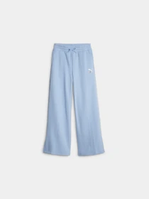 Брюки PUMA Sweater Wthr Sweatpants модель 621616 Фото