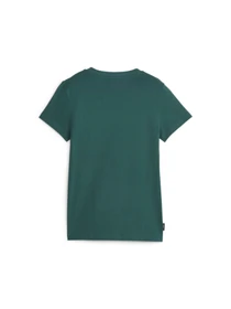 Футболки и поло PUMA Team Graphic Tee модель 621437 Фото