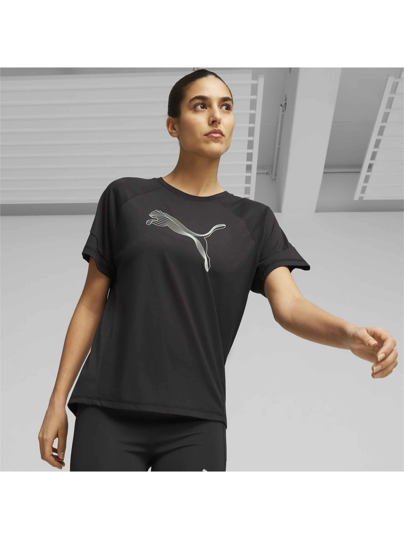 Футболки и поло PUMA Evostripe Tee модель 676070 Футболки и поло PUMA Evostripe Tee модель 676070 Фото