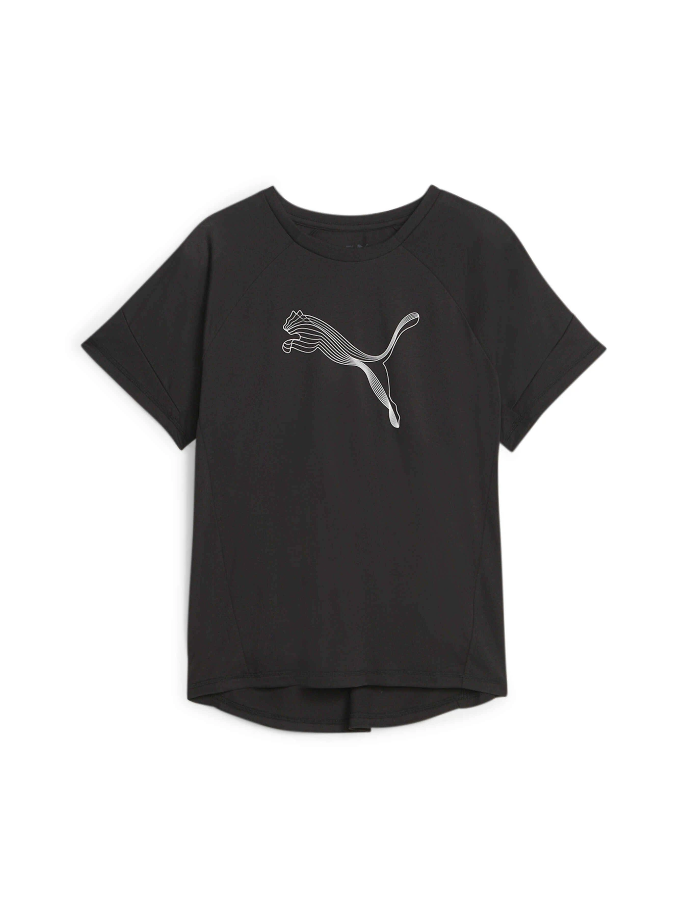 Футболки и поло PUMA Evostripe Tee модель 676070 Футболки и поло PUMA Evostripe Tee модель 676070 Фото