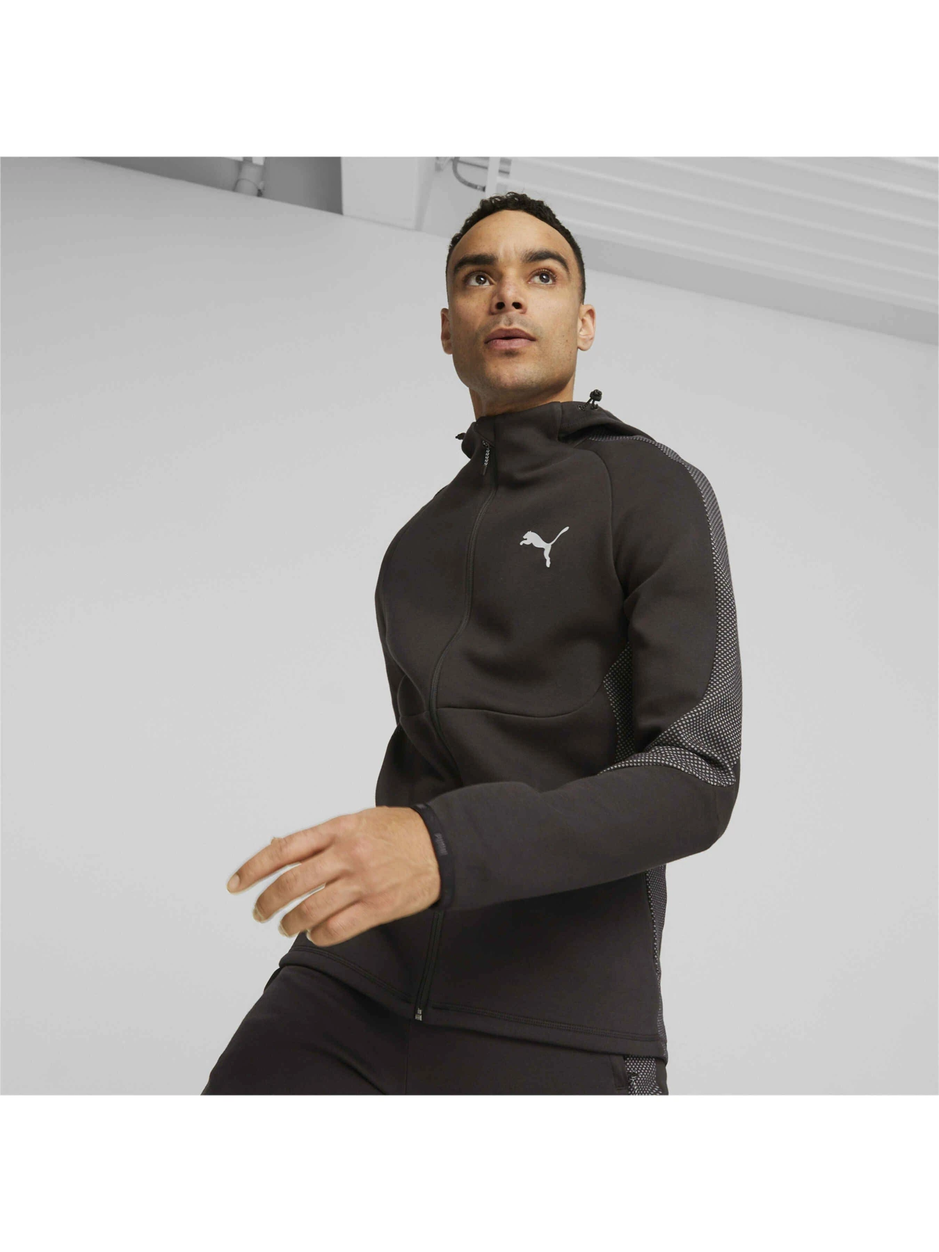 Худи и свитшоты PUMA Evostripe Full-zip Hoodie модель 675930 Худи и свитшоты PUMA Evostripe Full-zip Hoodie модель 675930 Фото