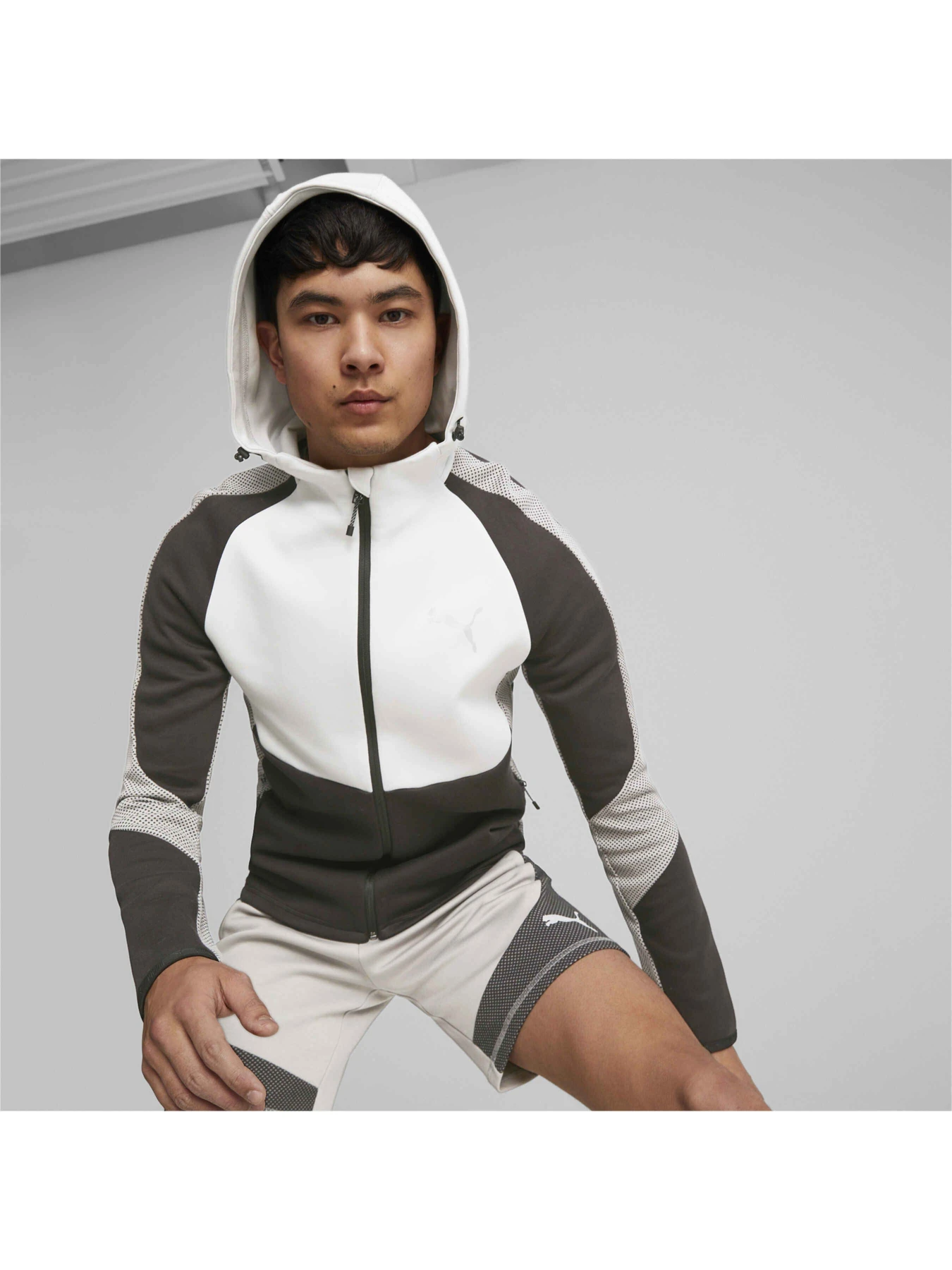 Худі та світшоти PUMA Evostripe Full-zip Hoodie модель 675930 Худі та світшоти PUMA Evostripe Full-zip Hoodie модель 675930 Фото