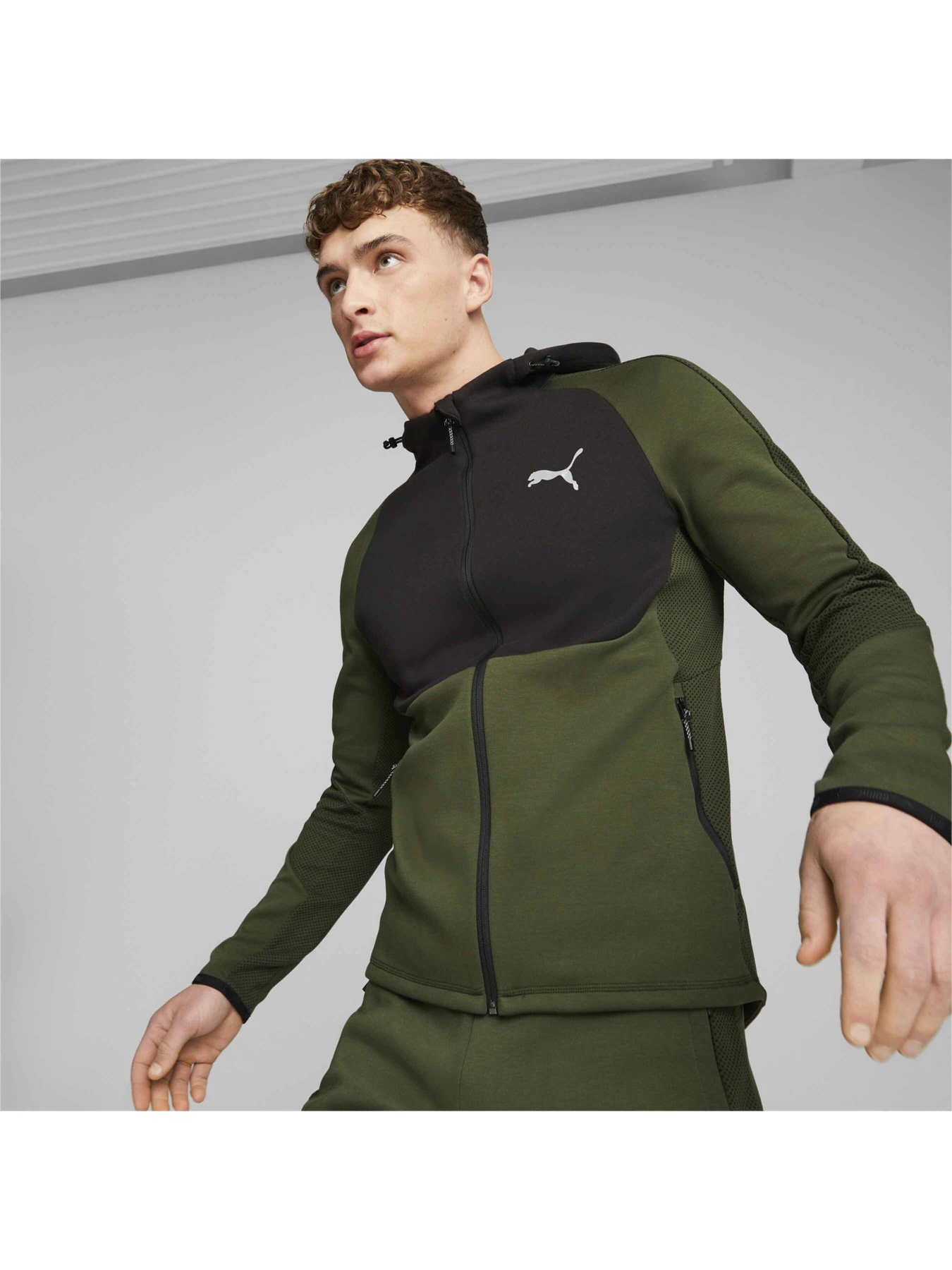 Худі та світшоти PUMA Evostripe Full-zip Hoodie модель 675930 Худі та світшоти PUMA Evostripe Full-zip Hoodie модель 675930 Фото