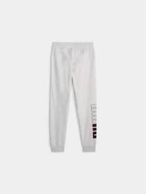 Штани PUMA Power Sweatpants модель 675912 Фото