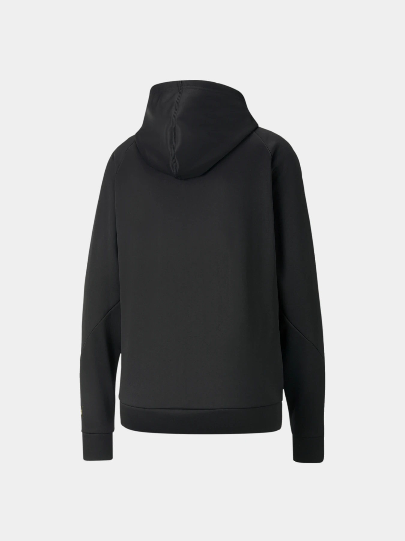 Худи и свитшоты PUMA Fit Pwr Flc Po Hoodie модель 522184 Худи и свитшоты PUMA Fit Pwr Flc Po Hoodie модель 522184 Фото