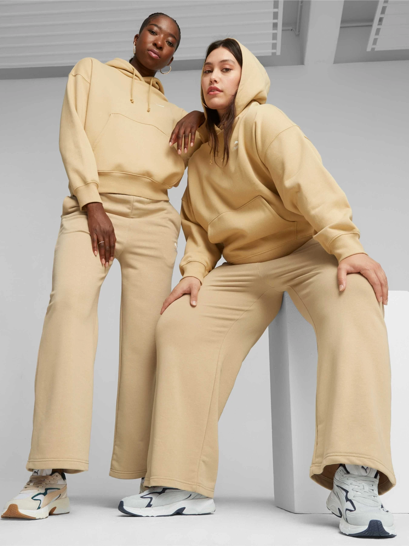Худі та світшоти PUMA Classics Oversized Hoodie модель 621407 Худі та світшоти PUMA Classics Oversized Hoodie модель 621407 Фото