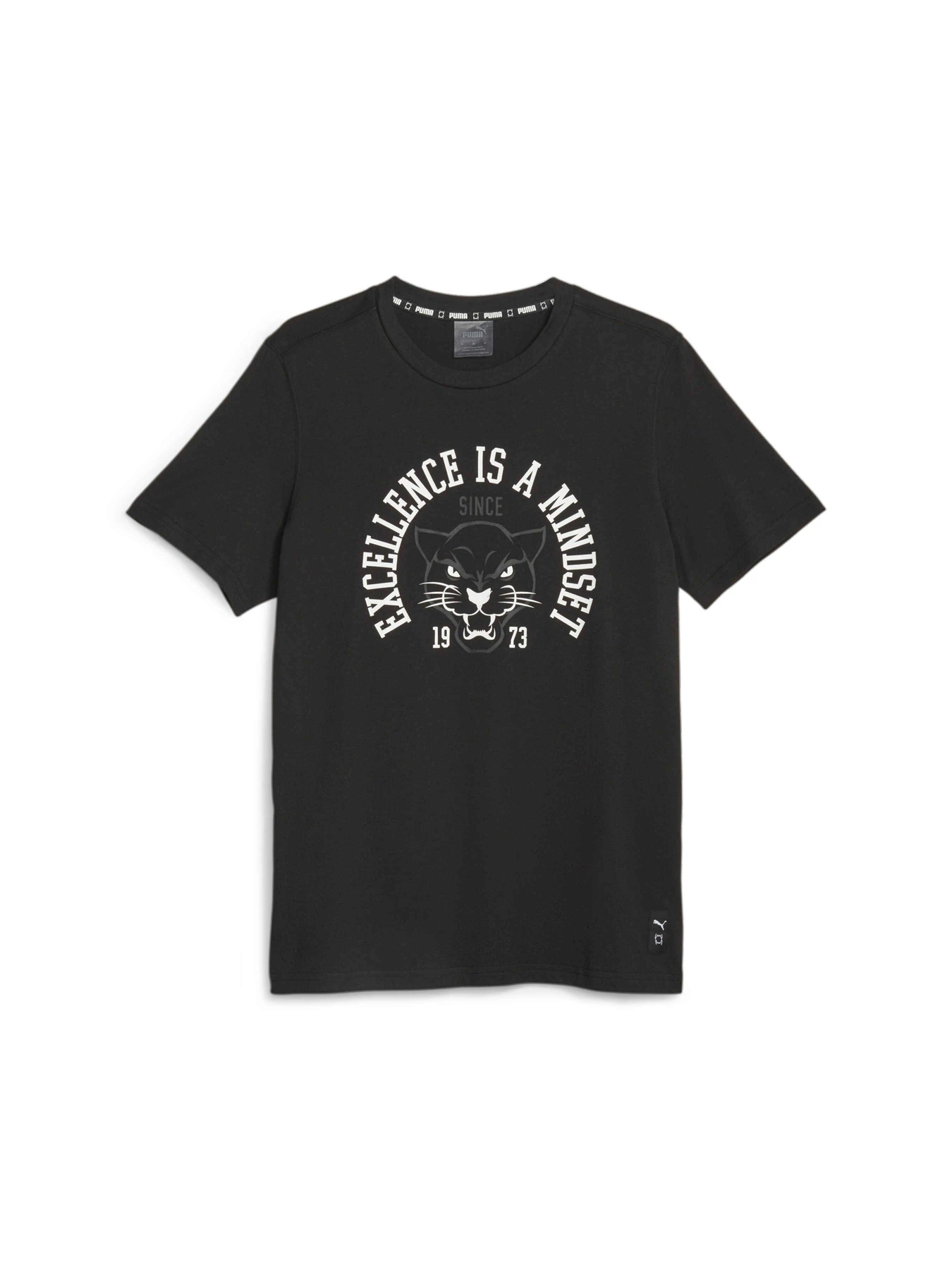 Футболки и поло PUMA Blueprint Q3 Graphic Tee 1 модель 622089 Футболки и поло PUMA Blueprint Q3 Graphic Tee 1 модель 622089 Фото