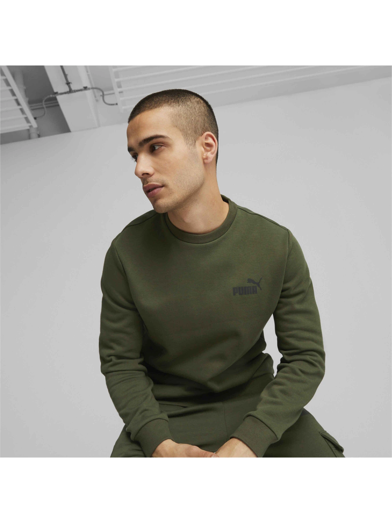 Худі та світшоти PUMA Ess Small Logo Crew модель 586683 Худі та світшоти PUMA Ess Small Logo Crew модель 586683 Фото