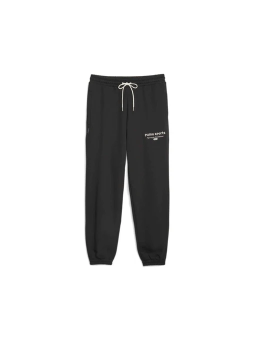 Брюки PUMA Team Sweatpants модель 621328 Фото