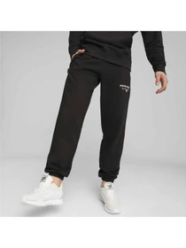 Брюки PUMA Team Sweatpants модель 621328 Фото