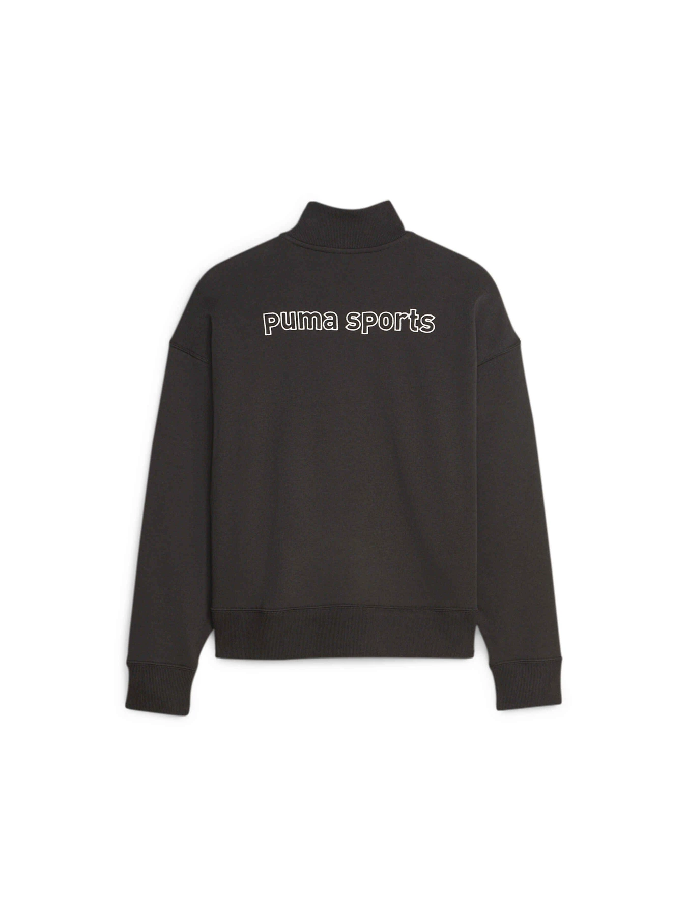 Худи и свитшоты PUMA Team Half-zip модель 621438 Фото