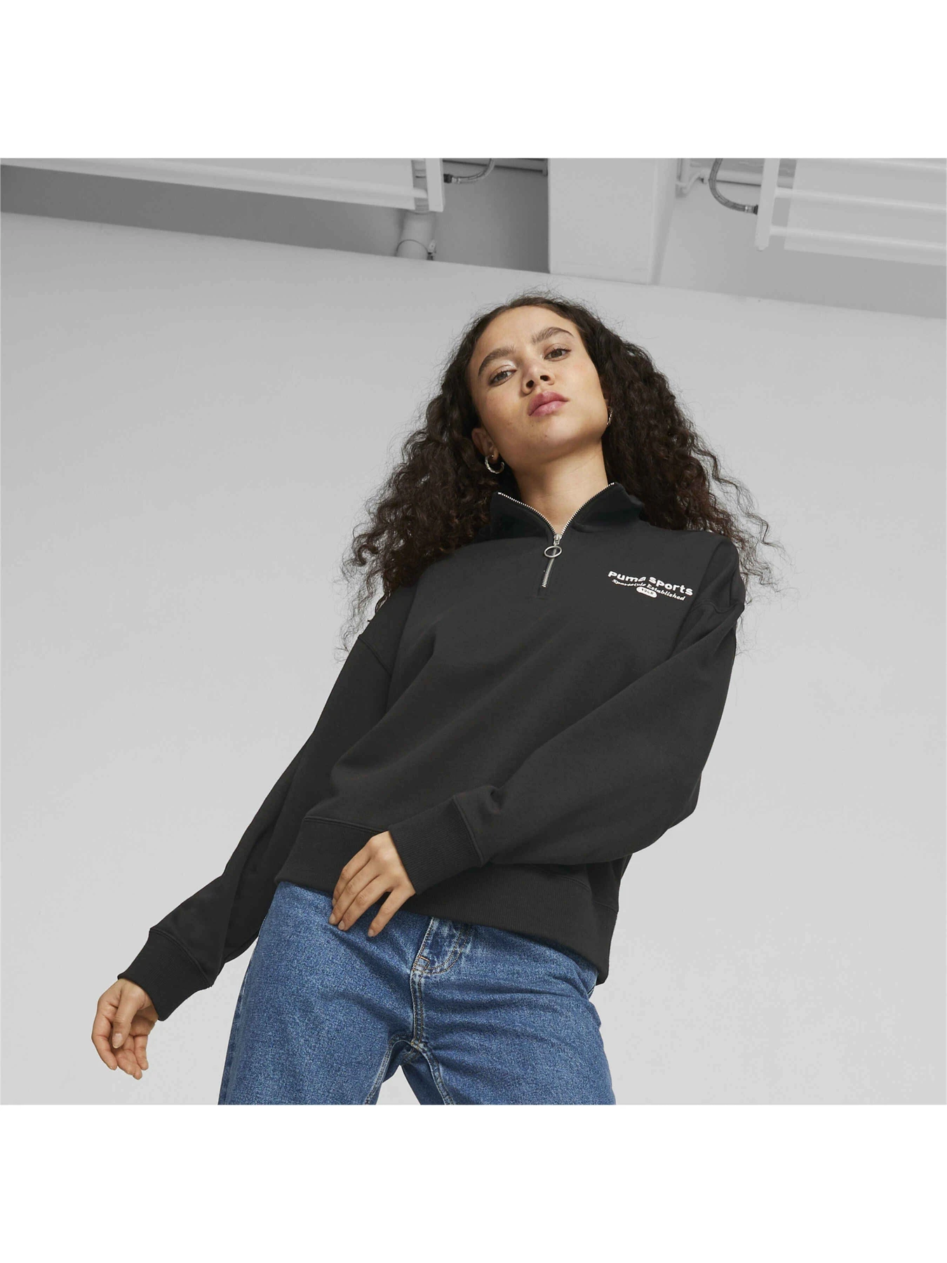 Худи и свитшоты PUMA Team Half-zip модель 621438 Фото