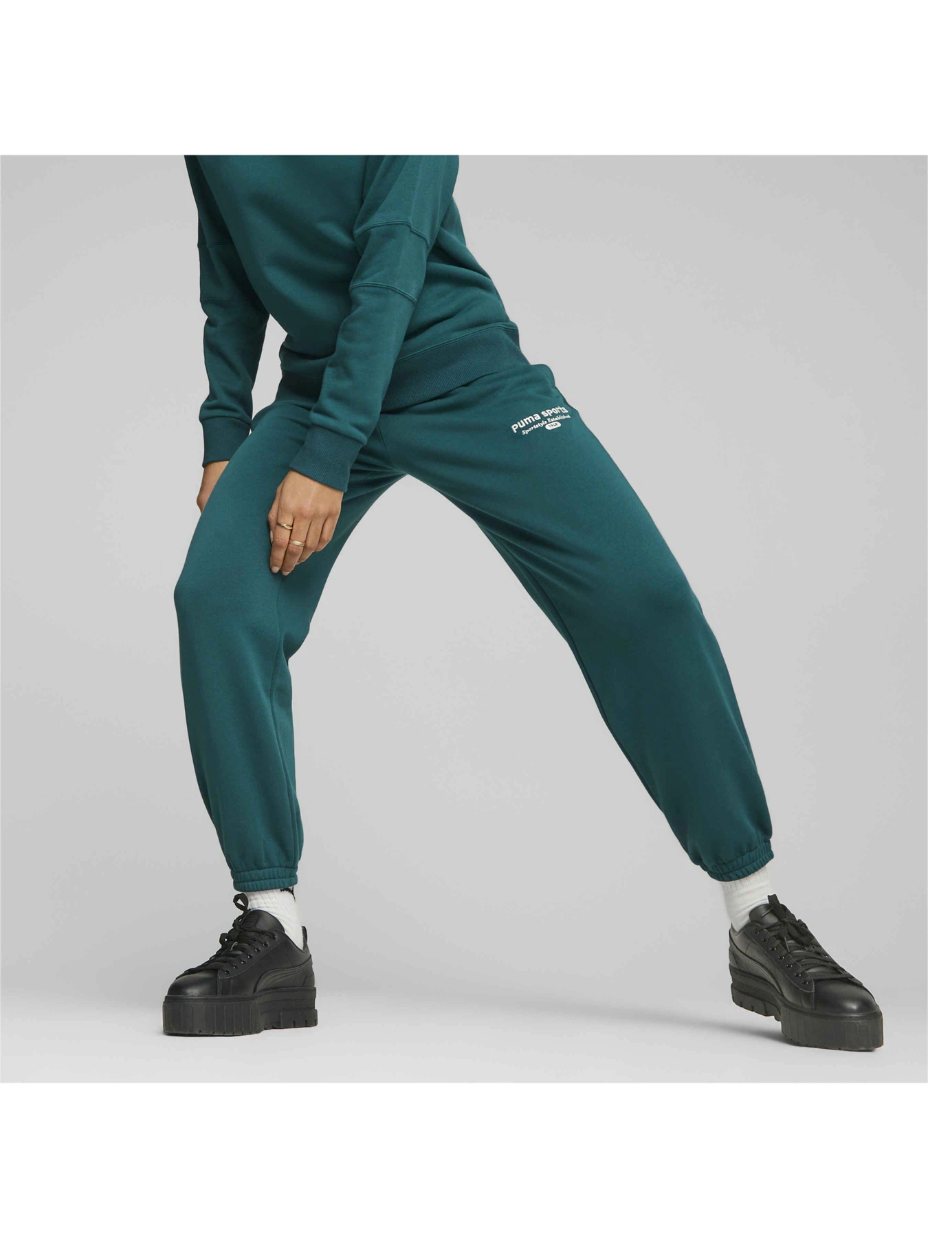 Штани PUMA Team Sweatpants модель 621442 Фото