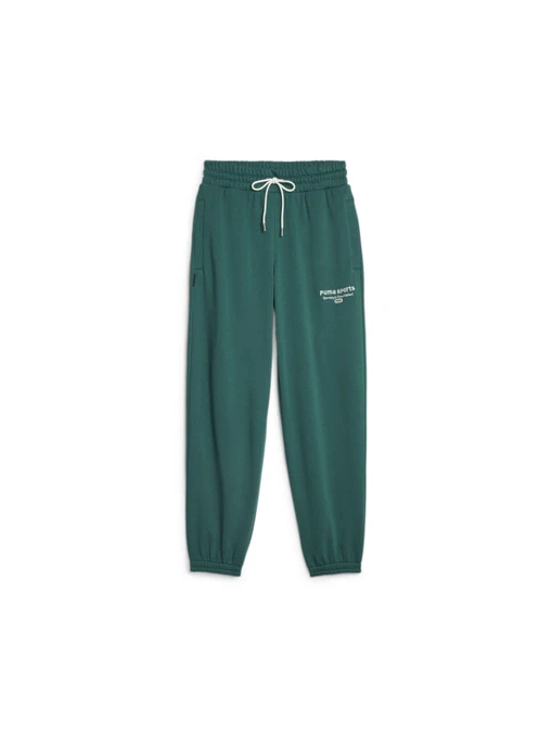 Брюки PUMA Team Sweatpants модель 621442 Фото