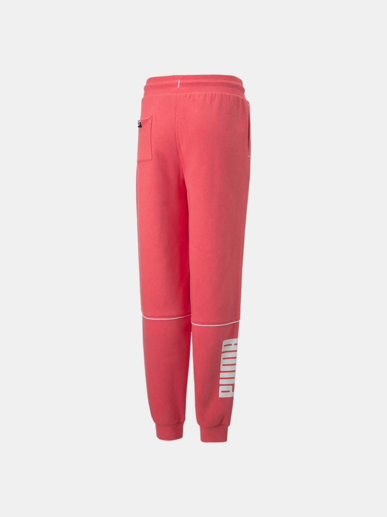 Брюки PUMA Power Colorblock Pants модель 670206 Фото