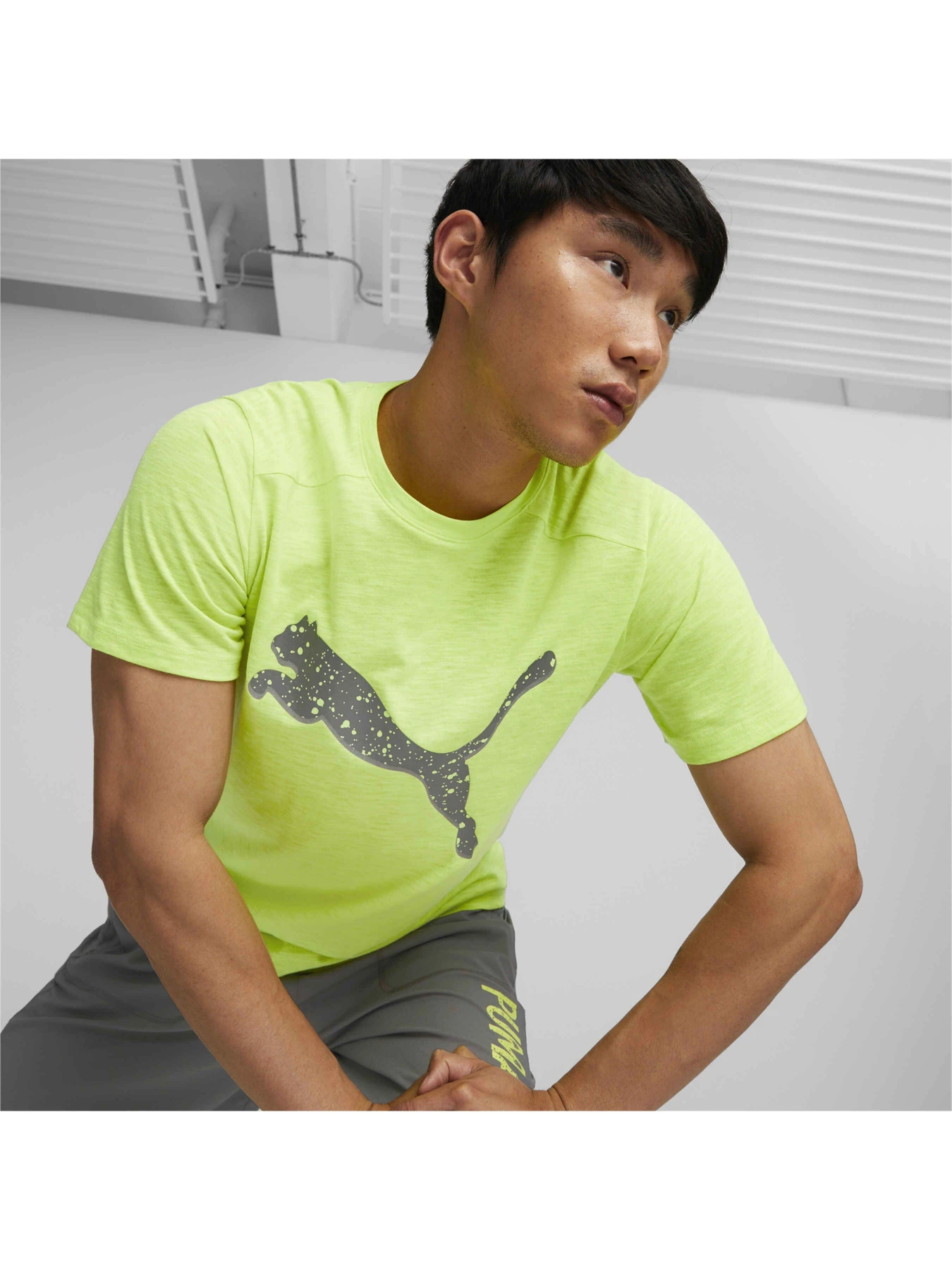 Футболки и поло PUMA Run Logo Ss Tee M модель 522423 Футболки и поло PUMA Run Logo Ss Tee M модель 522423 Фото
