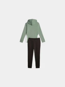 Костюмы PUMA Classic Hooded Tracksuit Fl модель 622637 Фото