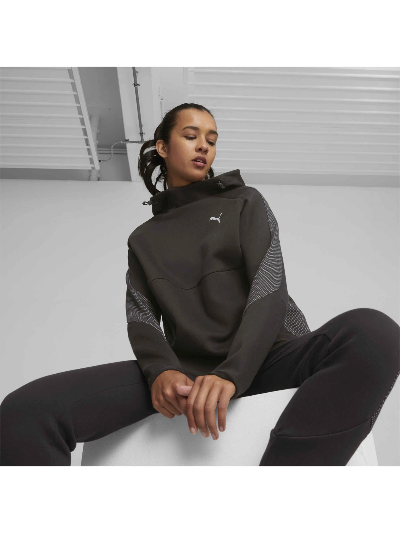 Худи и свитшоты PUMA Evostripe Hoodie модель 676072 Худи и свитшоты PUMA Evostripe Hoodie модель 676072 Фото