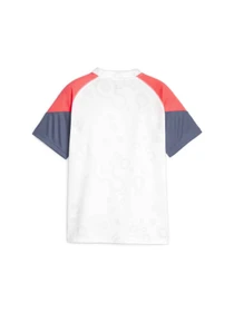 Футболки и поло PUMA Individualcup Jersey Jr модель 658482 Фото