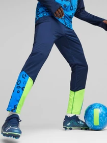 Брюки PUMA Individualcup Training Pants модель 658487 Фото