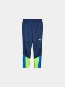 Брюки PUMA Individualcup Training Pants модель 658487 Фото