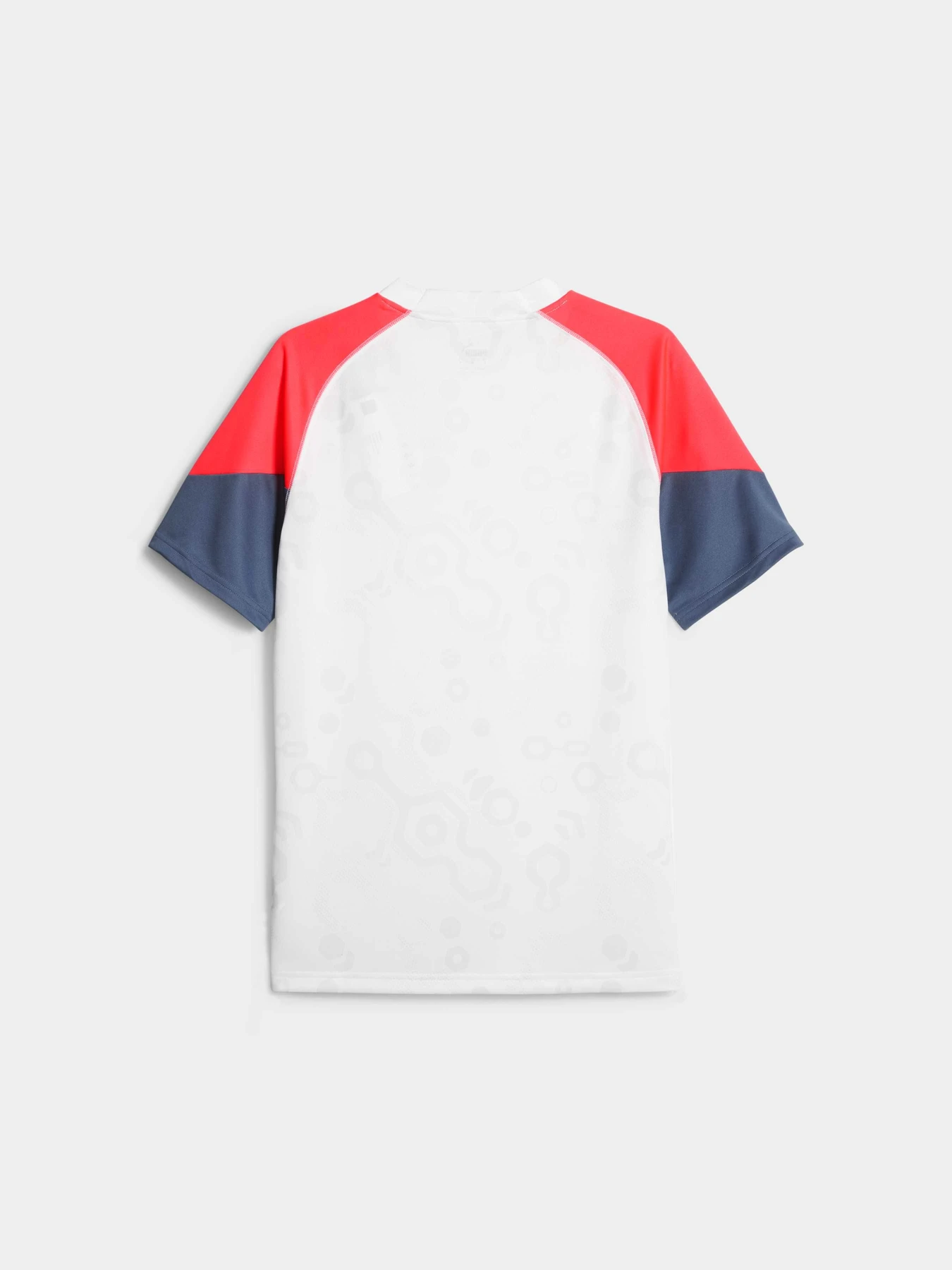 Футболки и поло PUMA Individualcup Jersey модель 658481 Фото