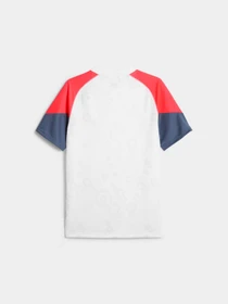 Футболки и поло PUMA Individualcup Jersey модель 658481 Фото