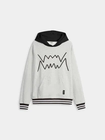 Худи и свитшоты PUMA Franchise Core Hoodie модель 622007 Фото
