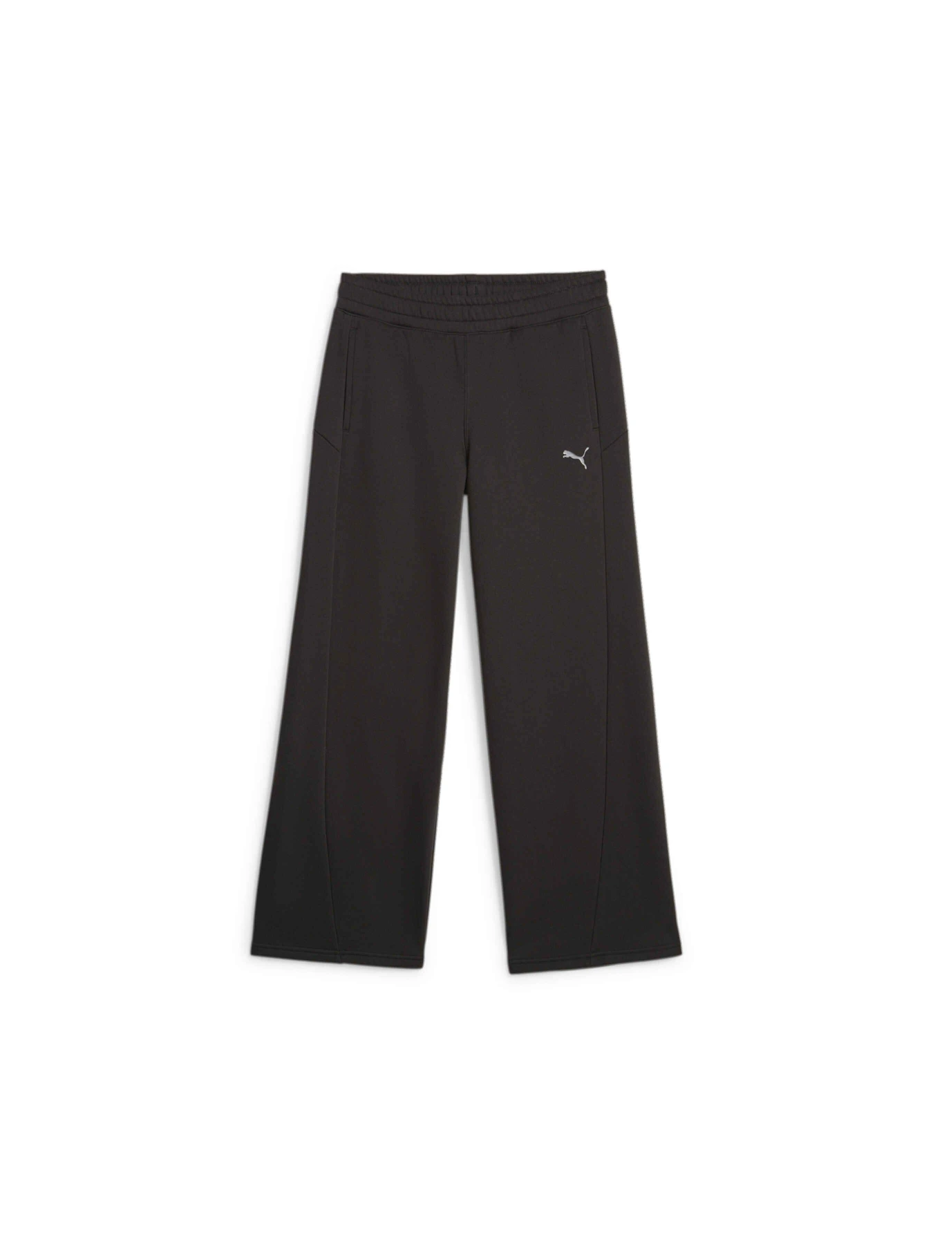 Брюки PUMA Motion Straight Pants модель 676088 Фото