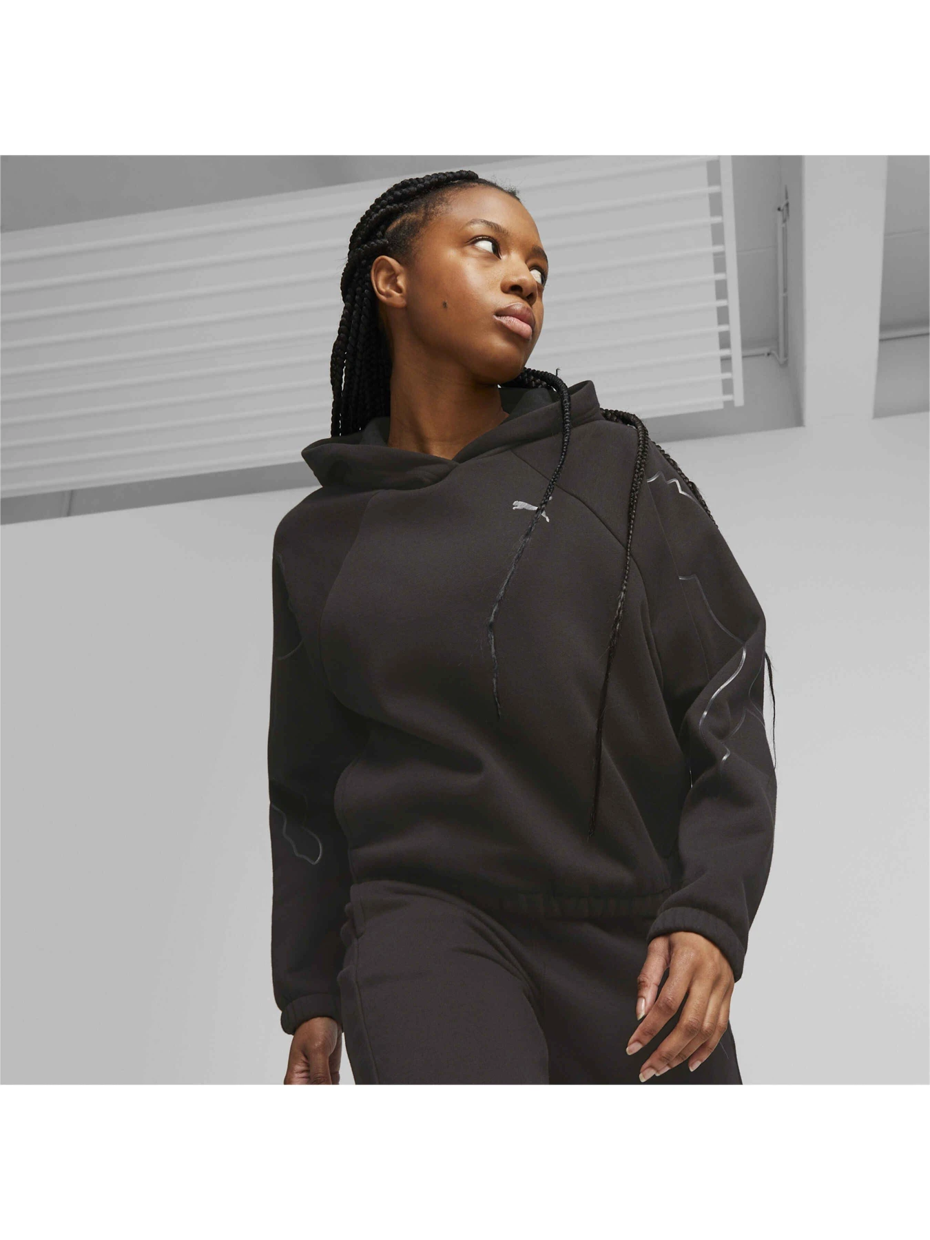 Худі та світшоти PUMA Motion Cat Hoodie модель 676084 Фото