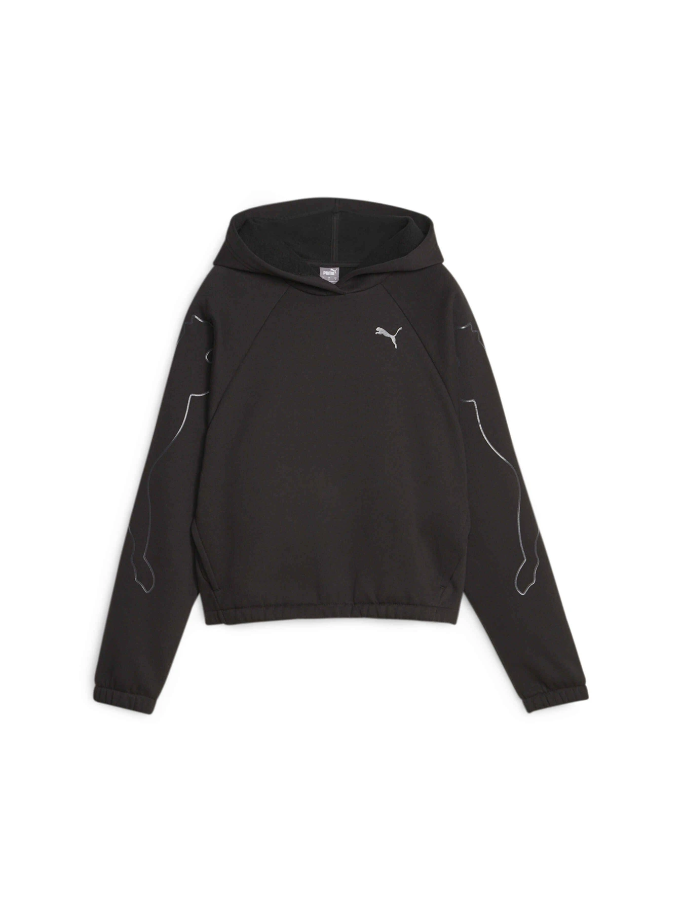 Худі та світшоти PUMA Motion Cat Hoodie модель 676084 Фото