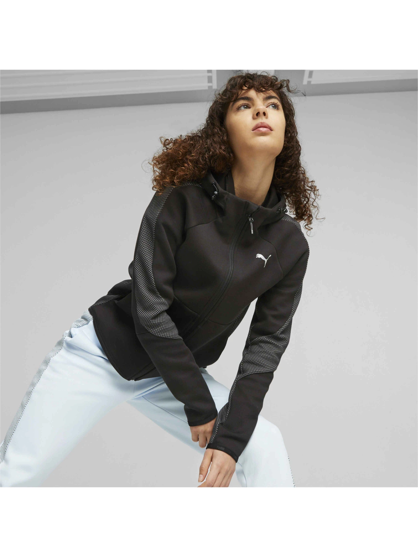 Худи и свитшоты PUMA Evostripe Full-zip Hoodie модель 676073 Худи и свитшоты PUMA Evostripe Full-zip Hoodie модель 676073 Фото