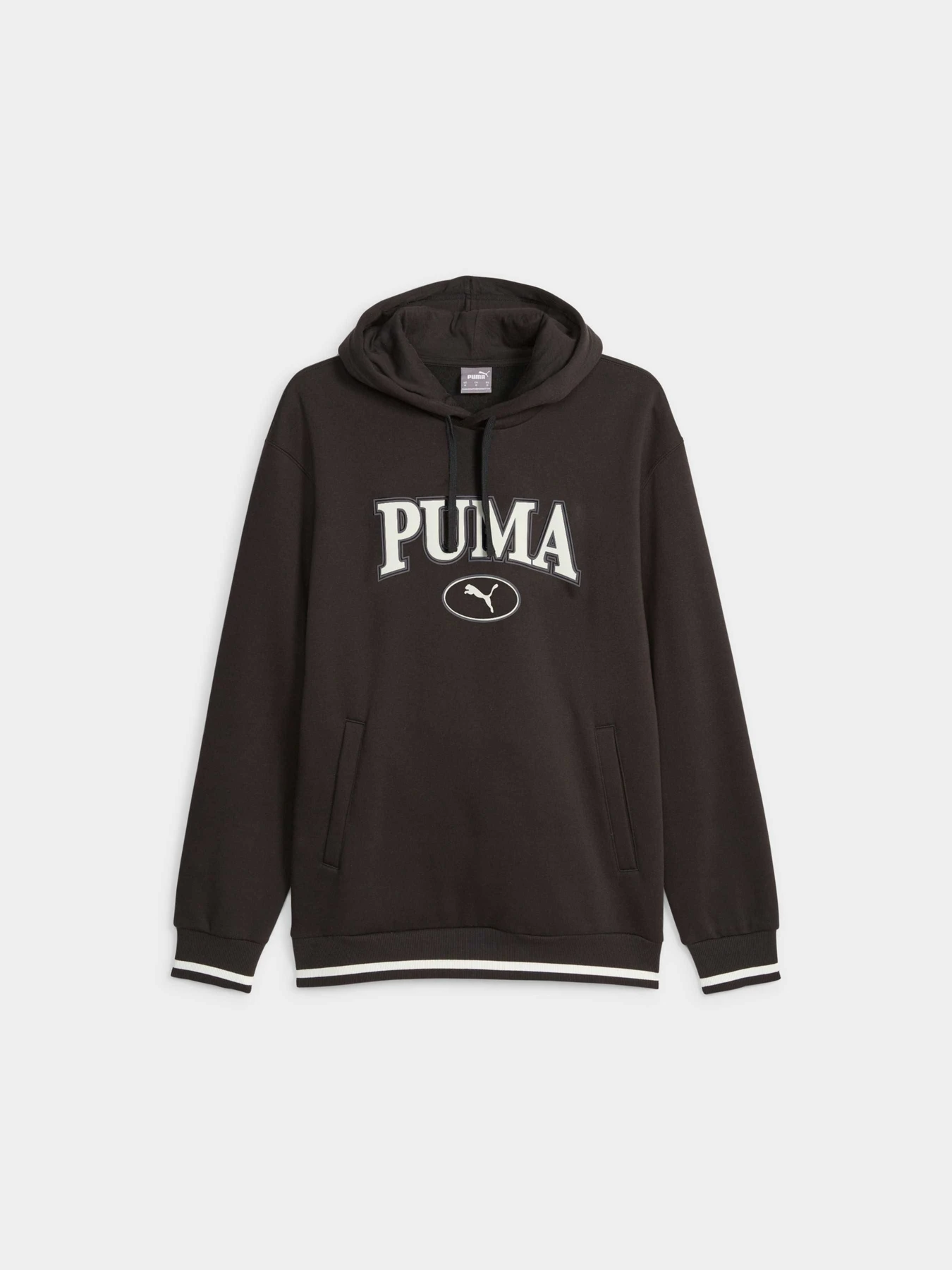 Худи и свитшоты PUMA Squad Hoodie модель 676017 Фото