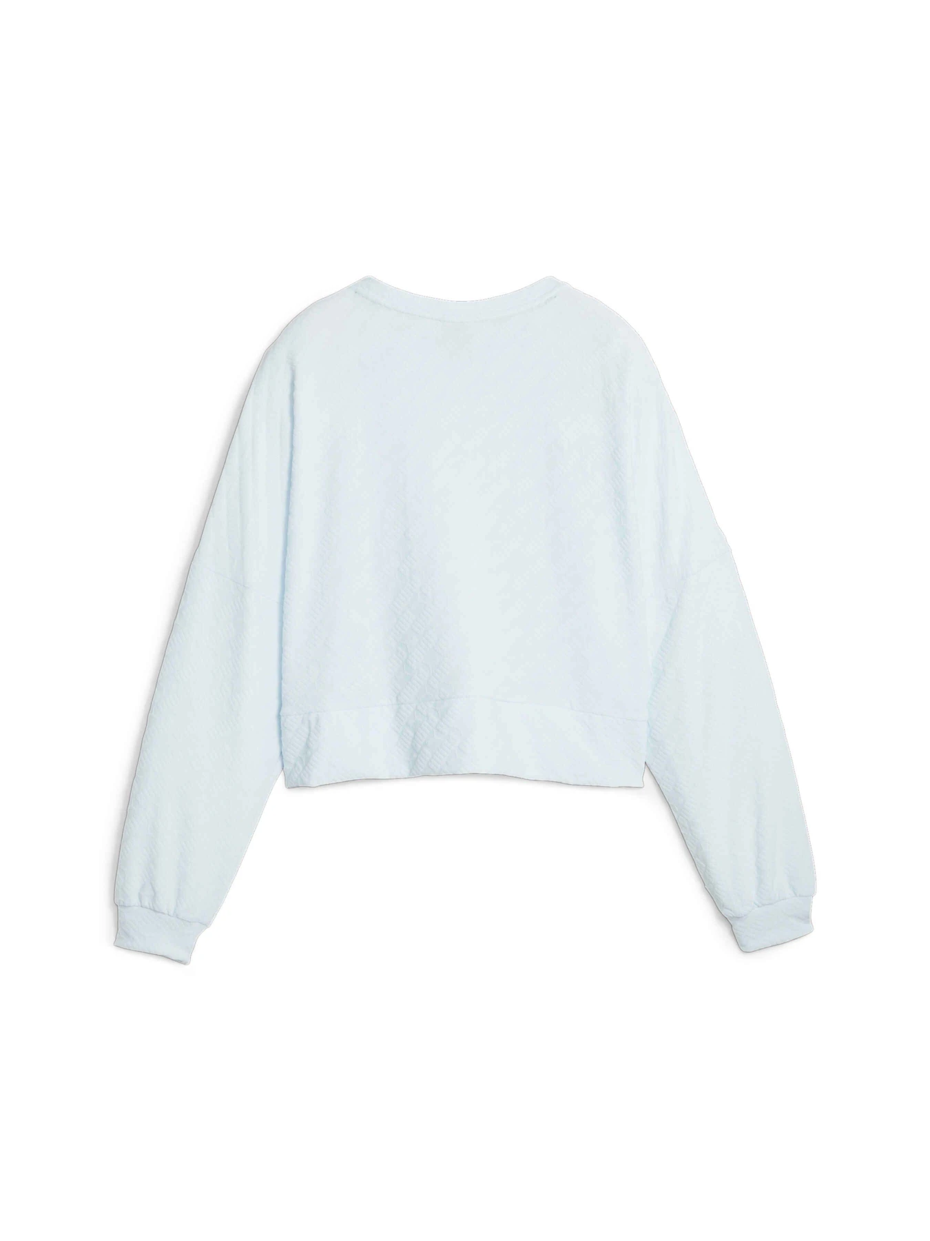 Худі та світшоти PUMA Fit Branded Fleece Crew модель 524124 Худі та світшоти PUMA Fit Branded Fleece Crew модель 524124 Фото