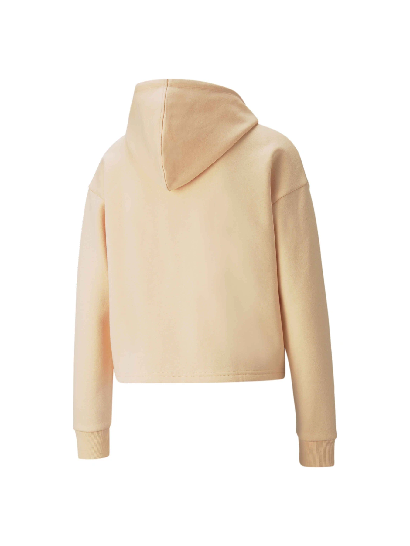 Худі та світшоти PUMA Ess+ Cropped Metallic Hoodie модель 586891 Худі та світшоти PUMA Ess+ Cropped Metallic Hoodie модель 586891 Фото