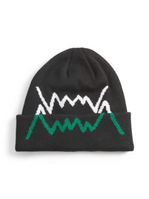 Шапки и кепки PUMA Basketball Beanie модель 024915 Фото