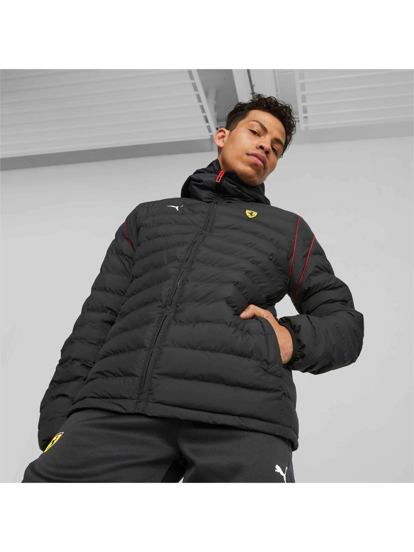 Куртки и дубленки PUMA Ferrari Race T7 Eclt Jkt модель 620934 Куртки и дубленки PUMA Ferrari Race T7 Eclt Jkt модель 620934 Фото