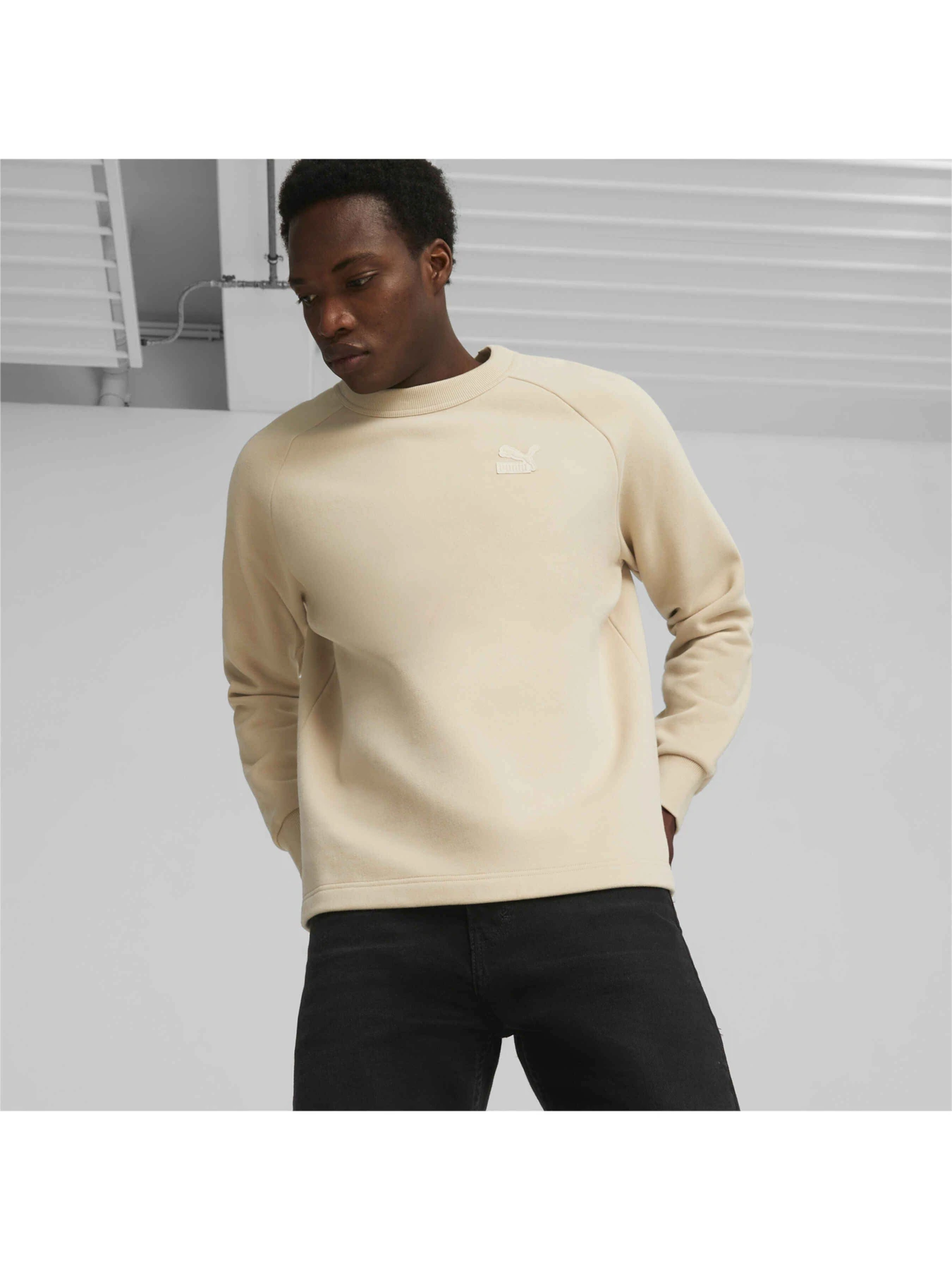 Худи и свитшоты PUMA Classics Crew Fl модель 625219 Фото