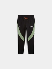 Брюки PUMA Amg Pants модель 622290 Фото